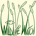 Wildlife Watch logo